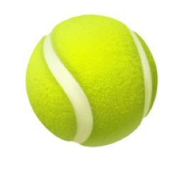 Tenis
